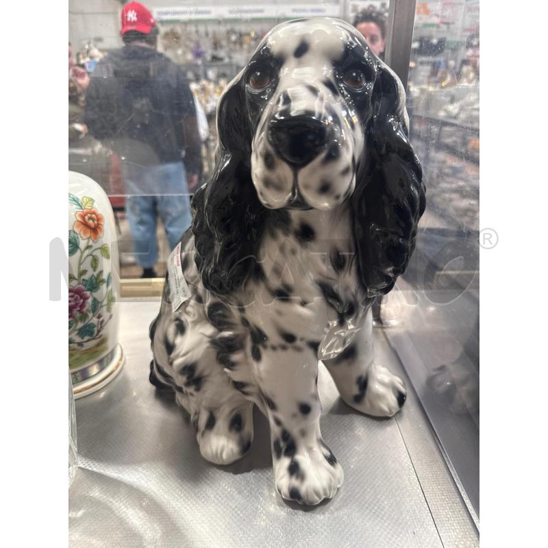 CAGNOLINO CERAMICA DEL MELO  | Mercatino dell'Usato San giovanni teatino 1
