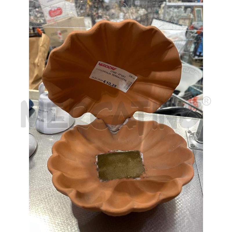 CONCHIGLIA TERRACOTTA | Mercatino dell'Usato San giovanni teatino 1