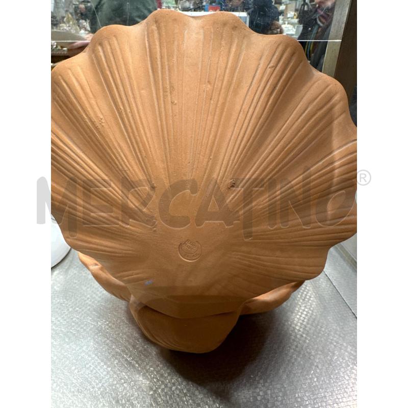 CONCHIGLIA TERRACOTTA | Mercatino dell'Usato San giovanni teatino 2