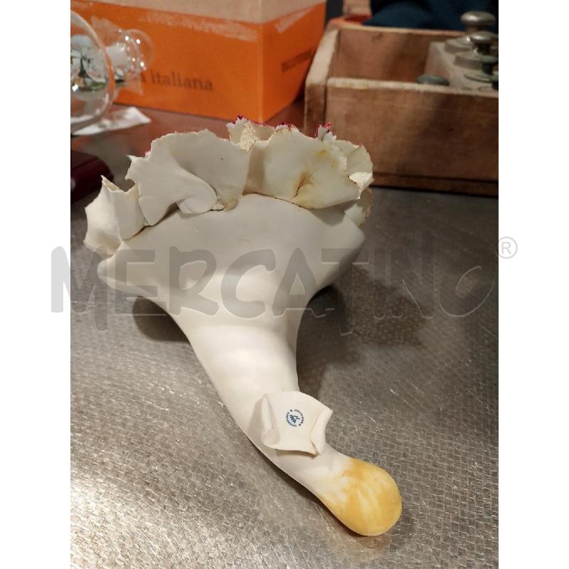 FIORE CAPODIMONTE ROSSO | Mercatino dell'Usato San giovanni teatino 3