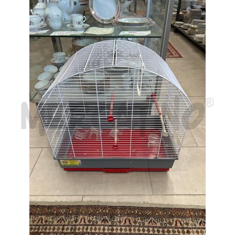 GABBIA UCCELLINI | Mercatino dell'Usato San giovanni teatino 1