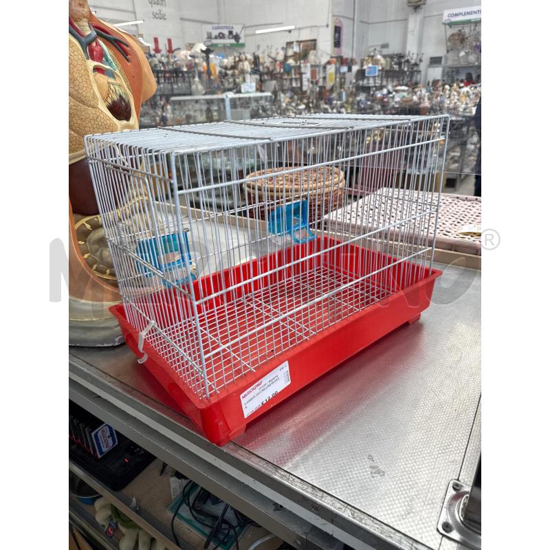 GABBIA UCCELLINI ROSSA | Mercatino dell'Usato San giovanni teatino 1