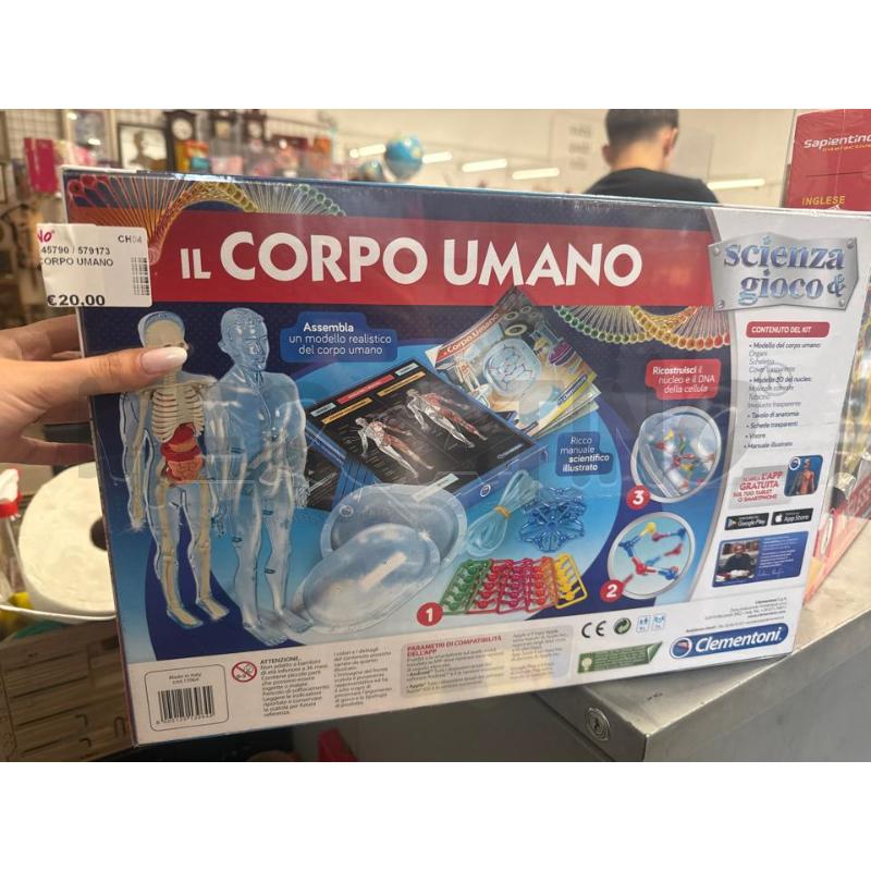 GIOCO IL CORPO UMANO  | Mercatino dell'Usato San giovanni teatino 1