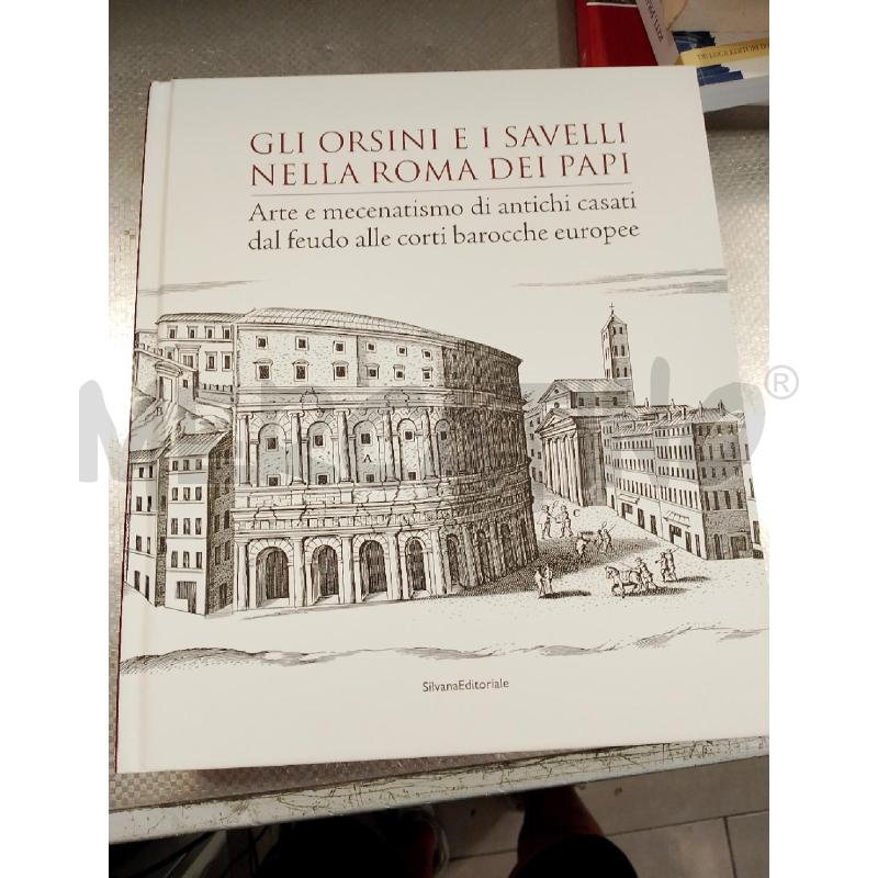 LIBRO GLI ORSINI E I SAVELLI | Mercatino dell'Usato San giovanni teatino 1