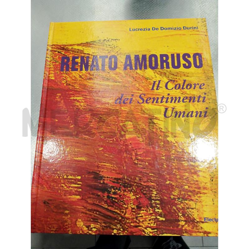 LIBRO RENATO AMORUSO | Mercatino dell'Usato San giovanni teatino 1