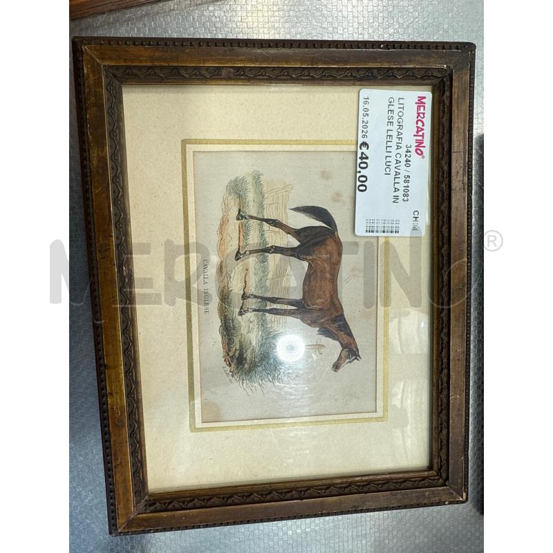LITOGRAFIA CAVALLA INGLESE LELLI LUCIO QUIRINO 14X8CM  | Mercatino dell'Usato San giovanni teatino 2