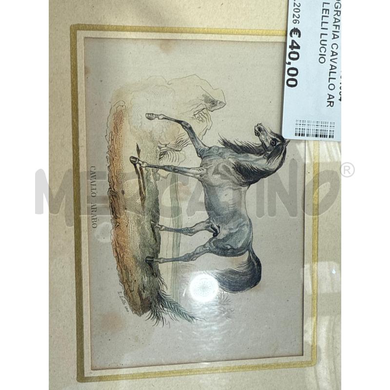 LITOGRAFIA CAVALLO ARABO LELLI LUCIO QUIRINO 14X10CM | Mercatino dell'Usato San giovanni teatino 1