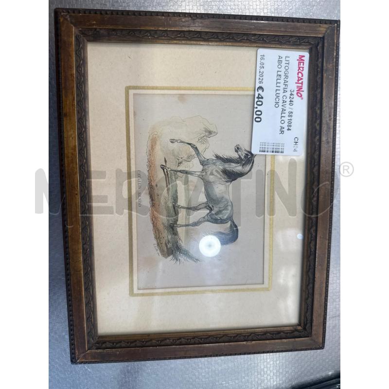LITOGRAFIA CAVALLO ARABO LELLI LUCIO QUIRINO 14X10CM | Mercatino dell'Usato San giovanni teatino 2