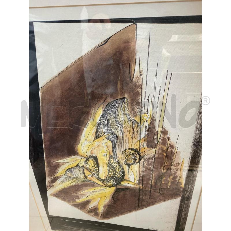 LITOGRAFIA SETTA RANIERI CAVALLI CORNICE ROSSA | Mercatino dell'Usato San giovanni teatino 1