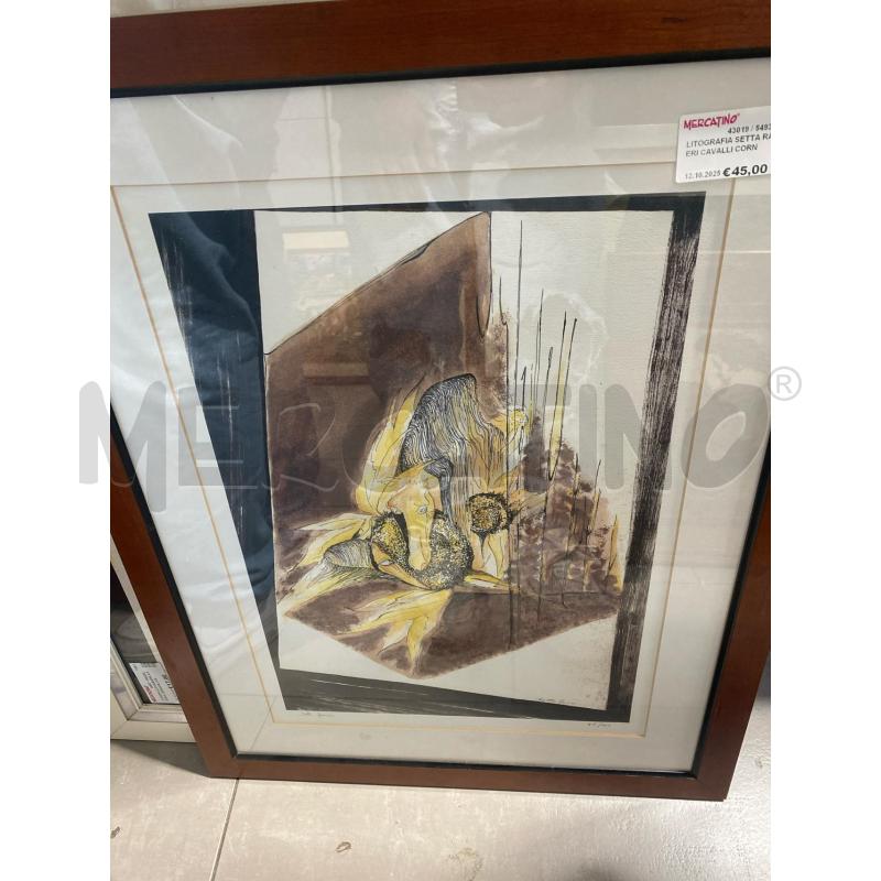 LITOGRAFIA SETTA RANIERI CAVALLI CORNICE ROSSA | Mercatino dell'Usato San giovanni teatino 2