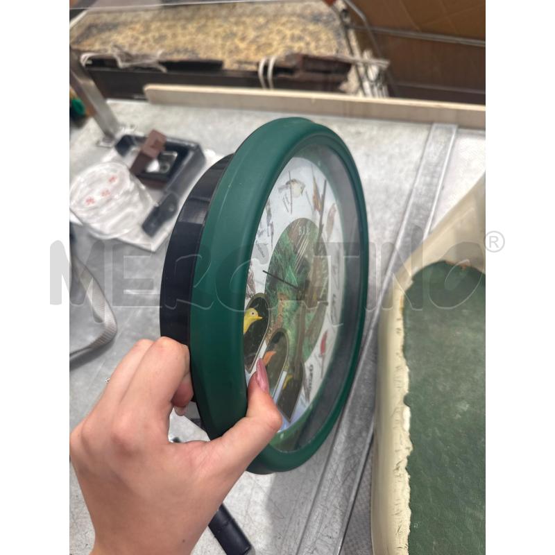 OROLOGIO DA PARETE UCCELLI | Mercatino dell'Usato San giovanni teatino 2