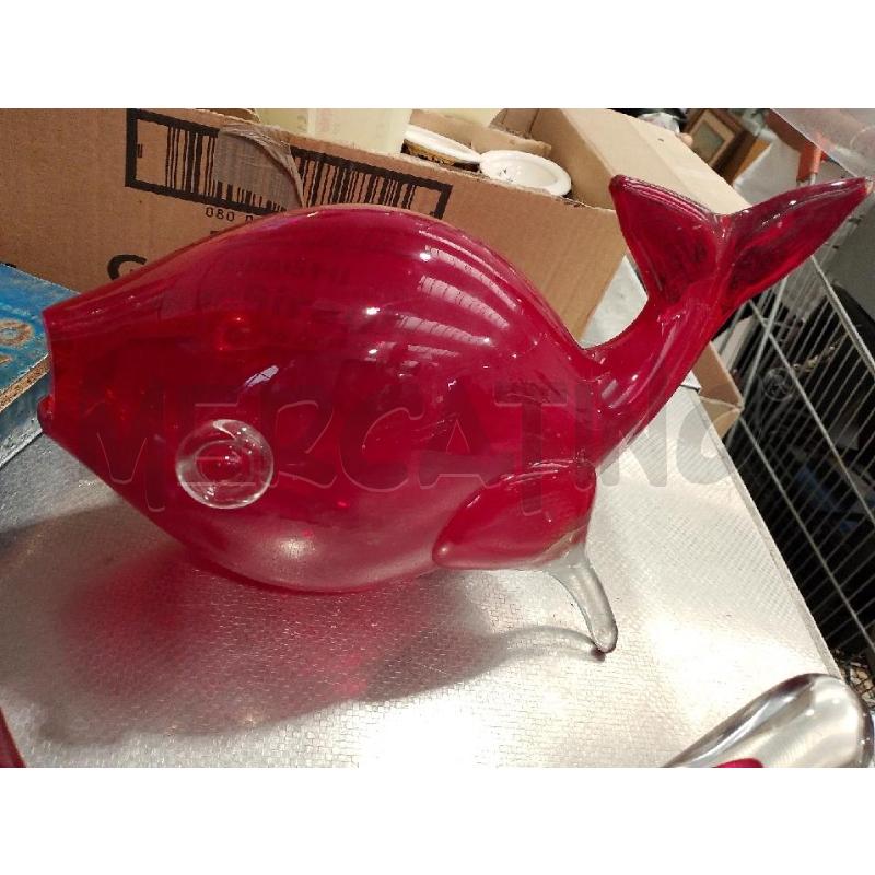 PESCE VETRO ROSSO | Mercatino dell'Usato San giovanni teatino 1