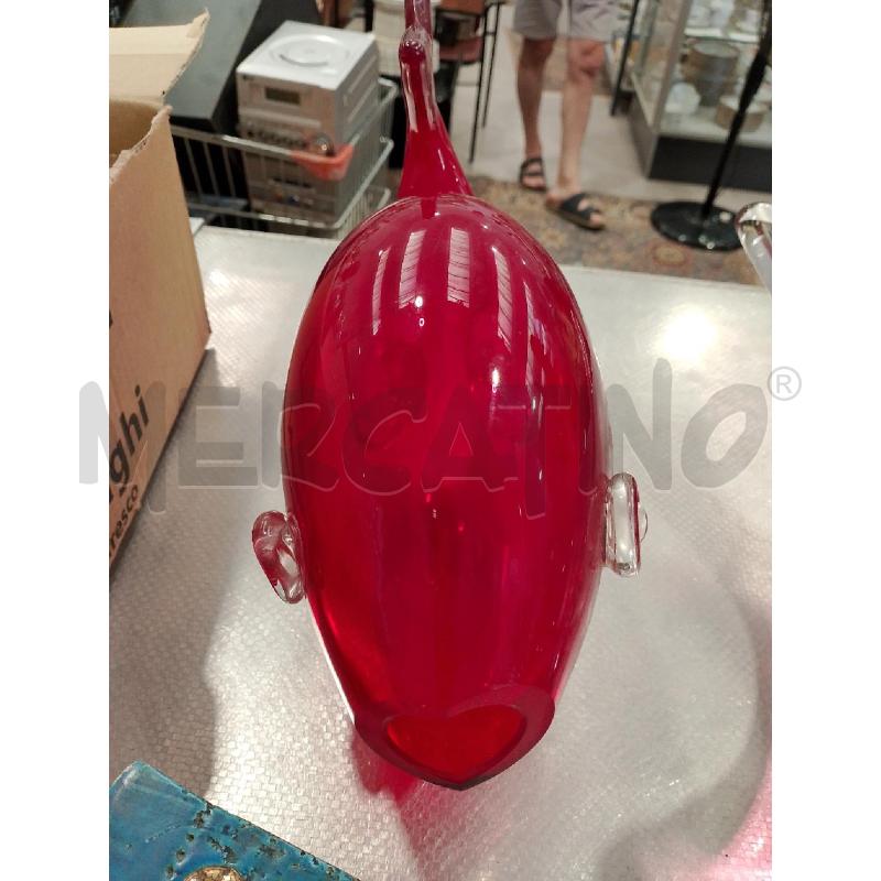 PESCE VETRO ROSSO | Mercatino dell'Usato San giovanni teatino 2
