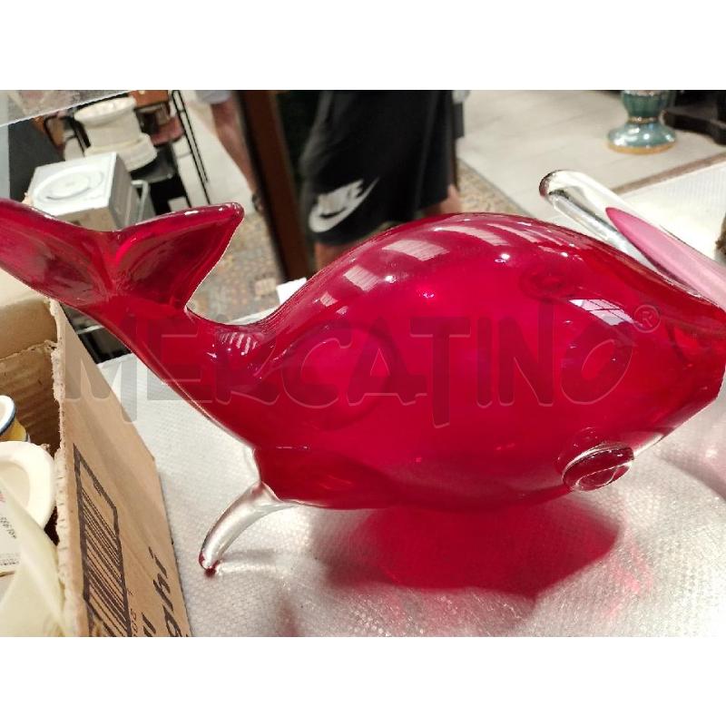 PESCE VETRO ROSSO | Mercatino dell'Usato San giovanni teatino 3