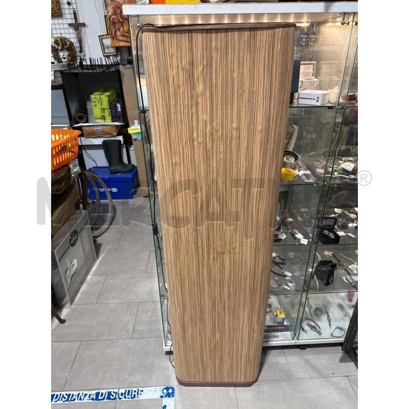 PIANTANA BAMBU | Mercatino dell'Usato San giovanni teatino 2