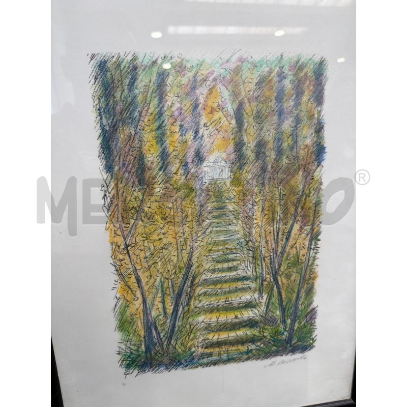 PROVA D'AUTORE A FIRMA M. CASCELLA 35X50CM | Mercatino dell'Usato San giovanni teatino 1