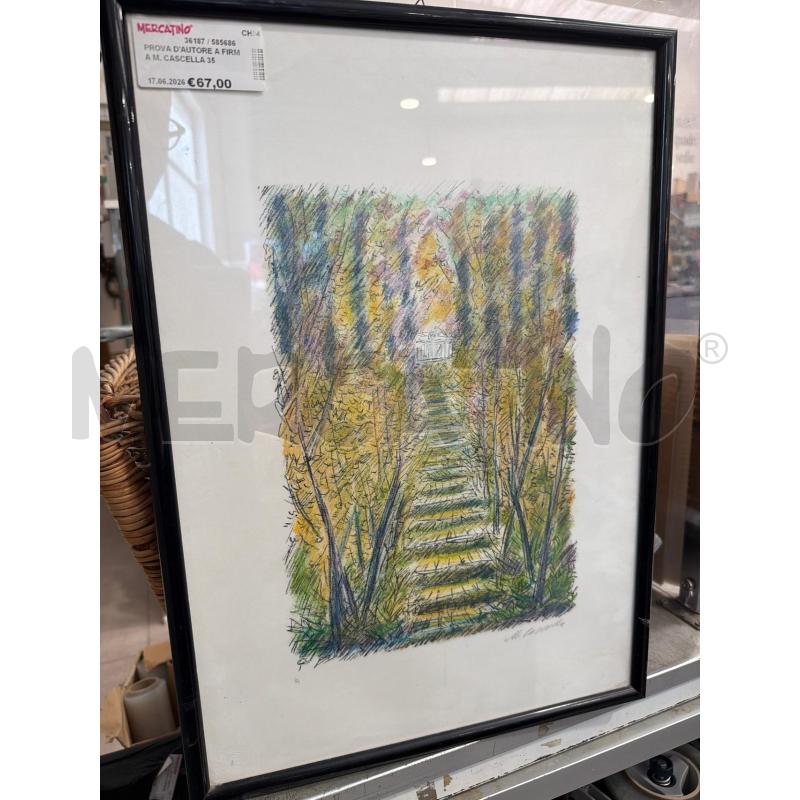 PROVA D'AUTORE A FIRMA M. CASCELLA 35X50CM | Mercatino dell'Usato San giovanni teatino 2