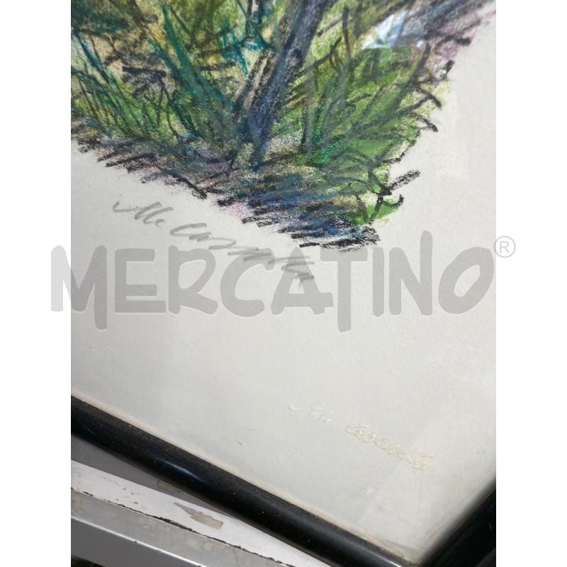 PROVA D'AUTORE A FIRMA M. CASCELLA 35X50CM | Mercatino dell'Usato San giovanni teatino 3