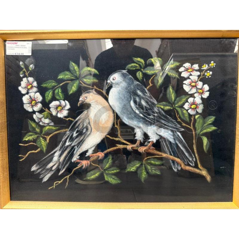 QUADRO 50X68CM UCCELLI SU RAMI | Mercatino dell'Usato San giovanni teatino 1