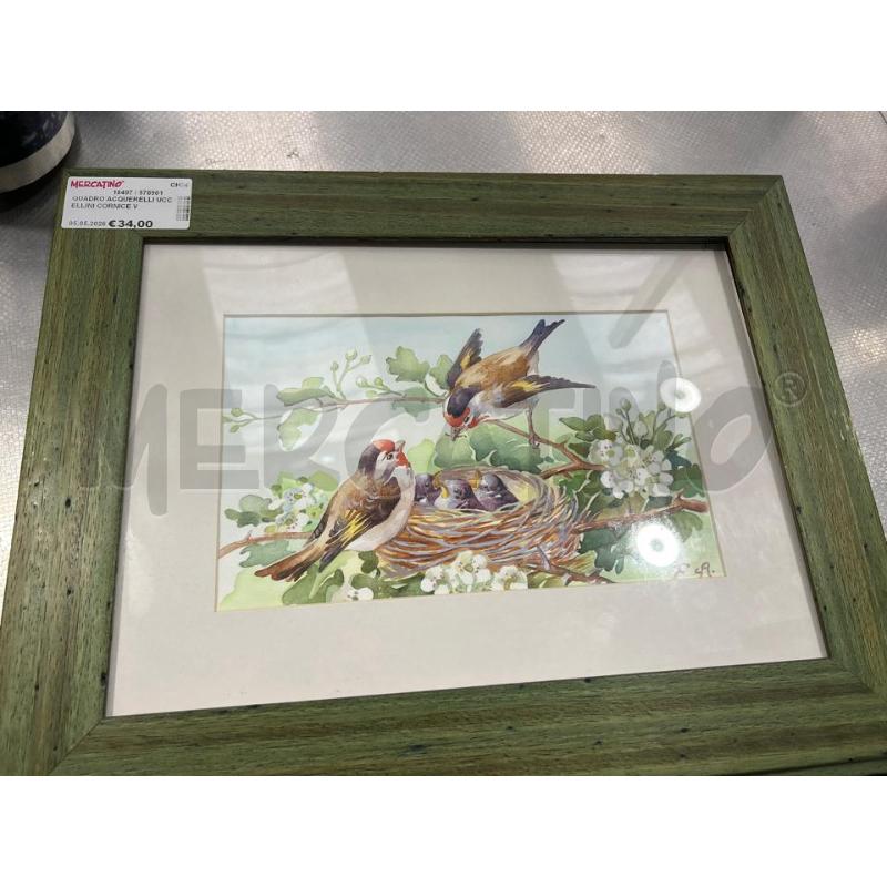 QUADRO ACQUERELLI UCCELLINI CORNICE VERDE F. A.  | Mercatino dell'Usato San giovanni teatino 1