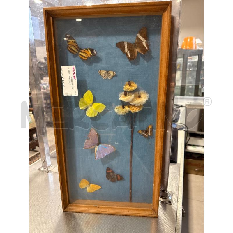 QUADRO FARFALLE  | Mercatino dell'Usato San giovanni teatino 1
