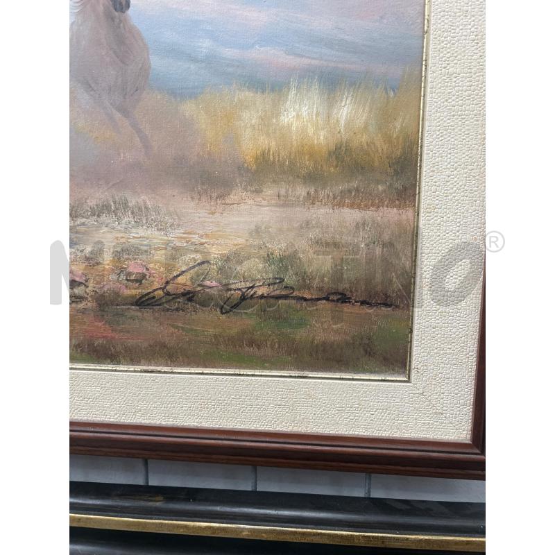 QUADRO FIRMATO CAVALLI 107X77 | Mercatino dell'Usato San giovanni teatino 2