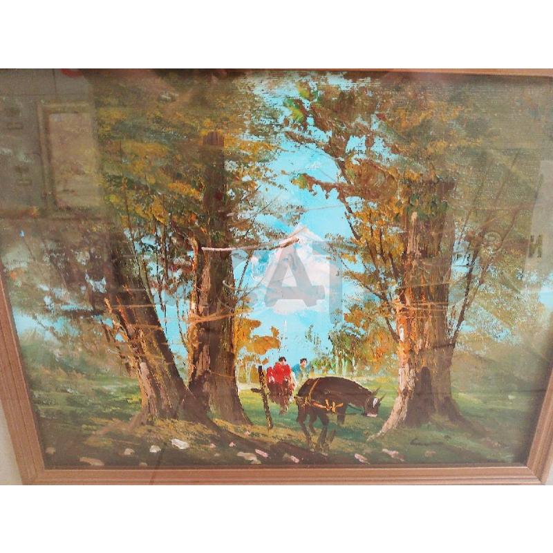 QUADRO PAESAGGIO BOSCO CAVALLO | Mercatino dell'Usato San giovanni teatino 1