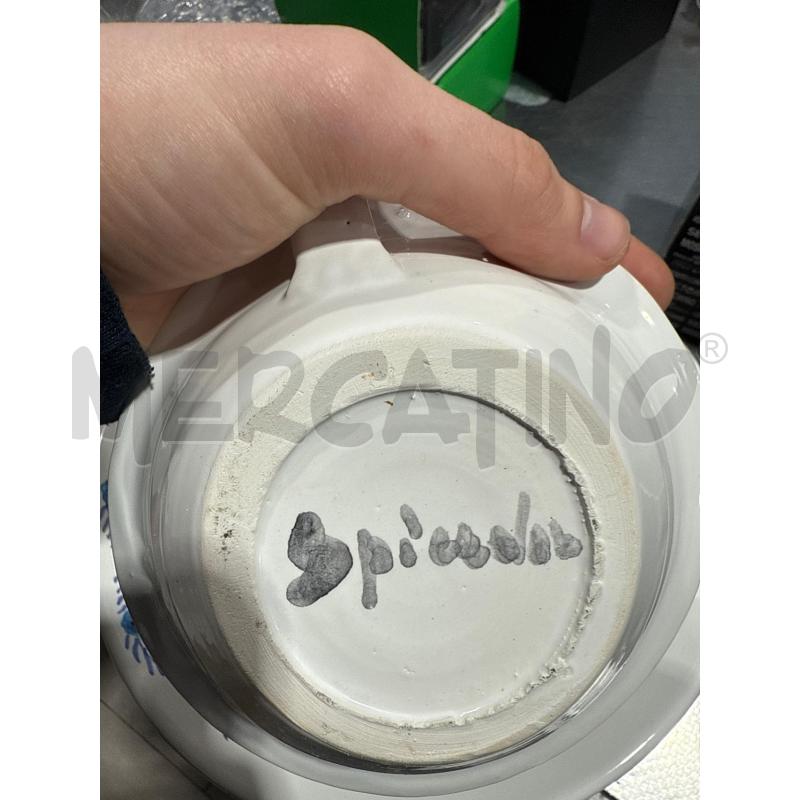 SERVIZIO PZ 6 CIOTOLINE SPICADORO FIORI AZZURRI | Mercatino dell'Usato San giovanni teatino 2