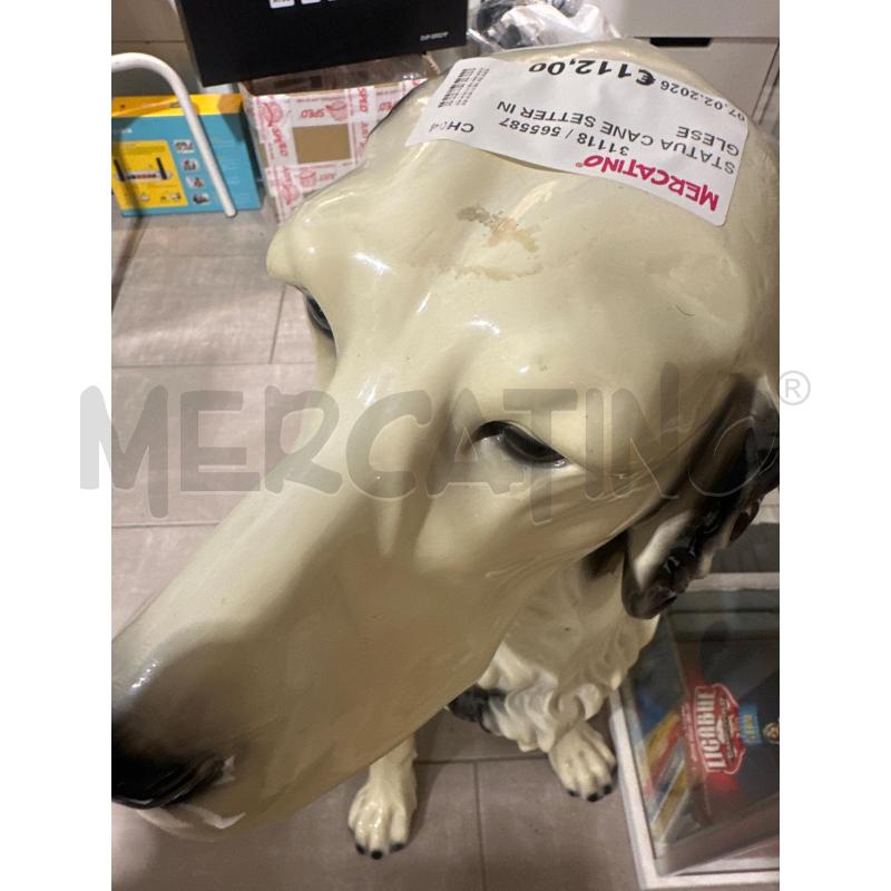 STATUA CANE SETTER INGLESE  | Mercatino dell'Usato San giovanni teatino 4