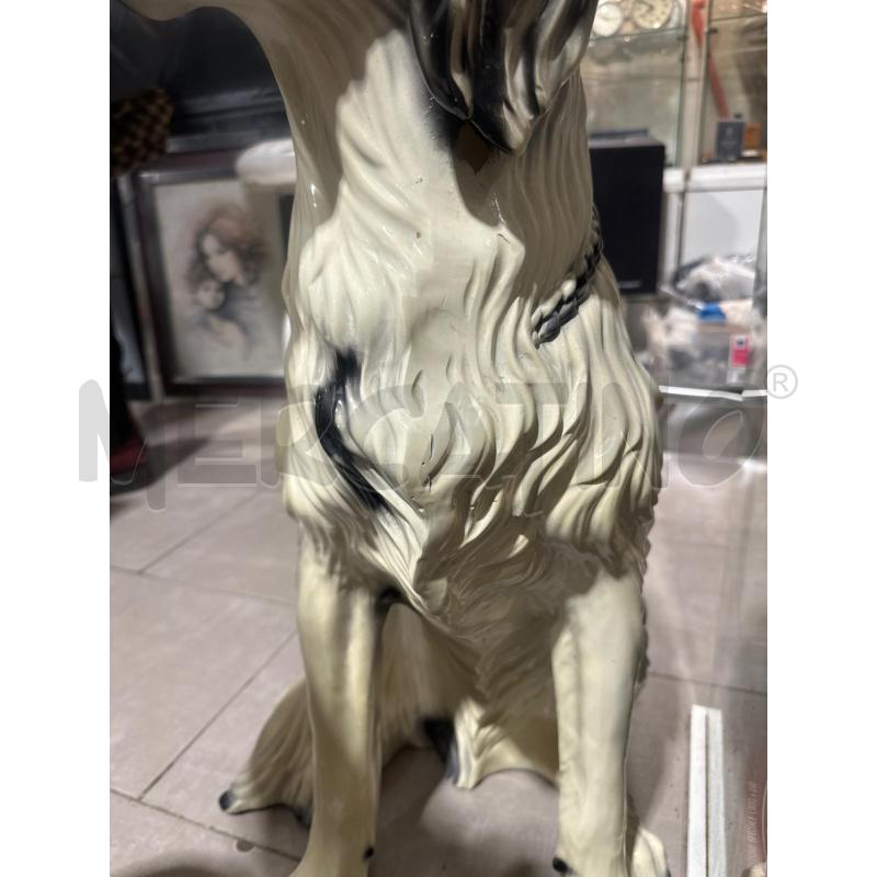 STATUA CANE SETTER INGLESE  | Mercatino dell'Usato San giovanni teatino 5