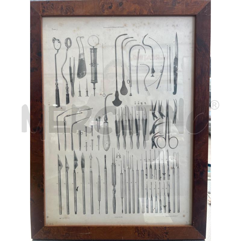 TAVOLA ANATOMICA CHIRURGICA OFTALMICA 49X37 JACOB | Mercatino dell'Usato San giovanni teatino 1