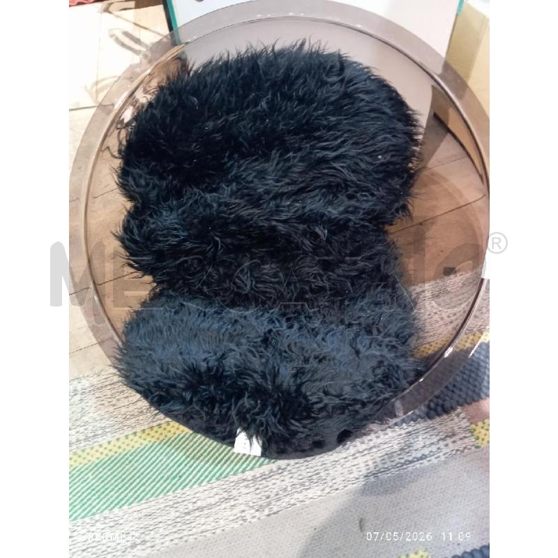 CUCCIA CANE | Mercatino dell'Usato Catania stazione centrale 1