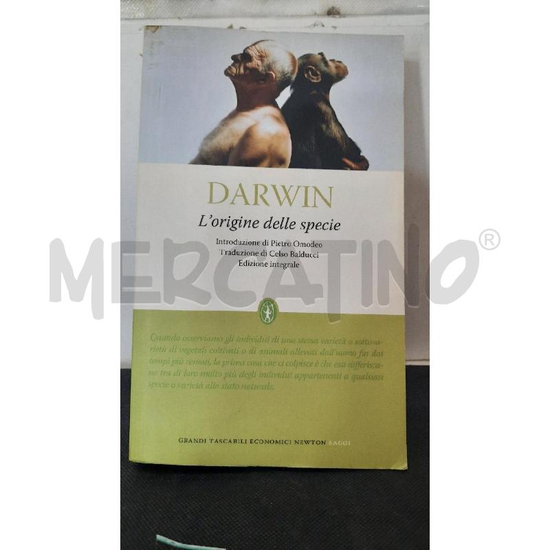 DARWIN | Mercatino dell'Usato Catania stazione centrale 1