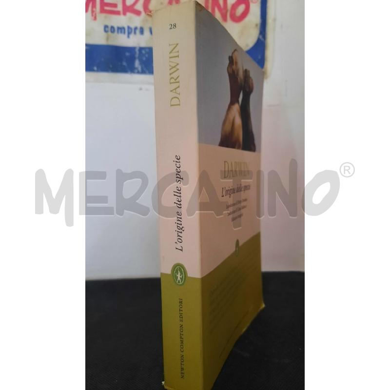 DARWIN | Mercatino dell'Usato Catania stazione centrale 3