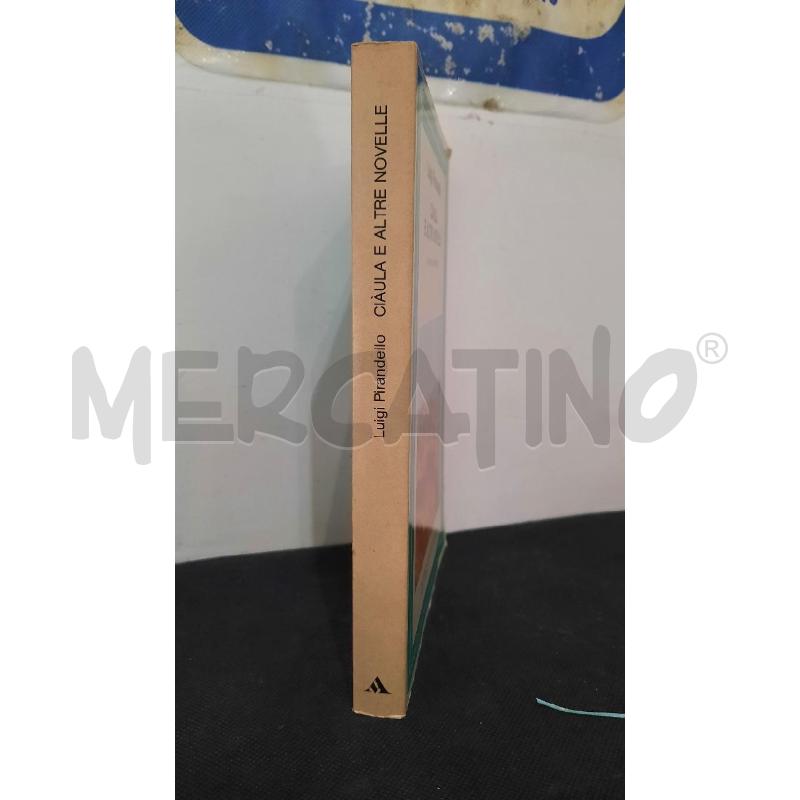 LUIGI PIRANDELLO | Mercatino dell'Usato Catania stazione centrale 3