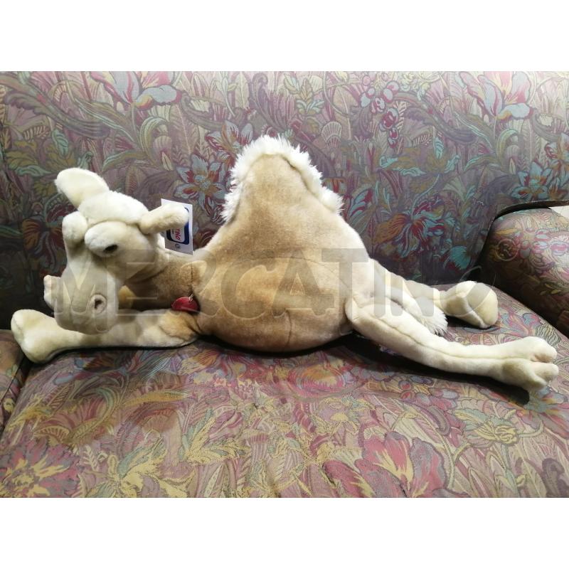 PELUCHE  TRUDI DROMETARIO | Mercatino dell'Usato Catania stazione centrale 1