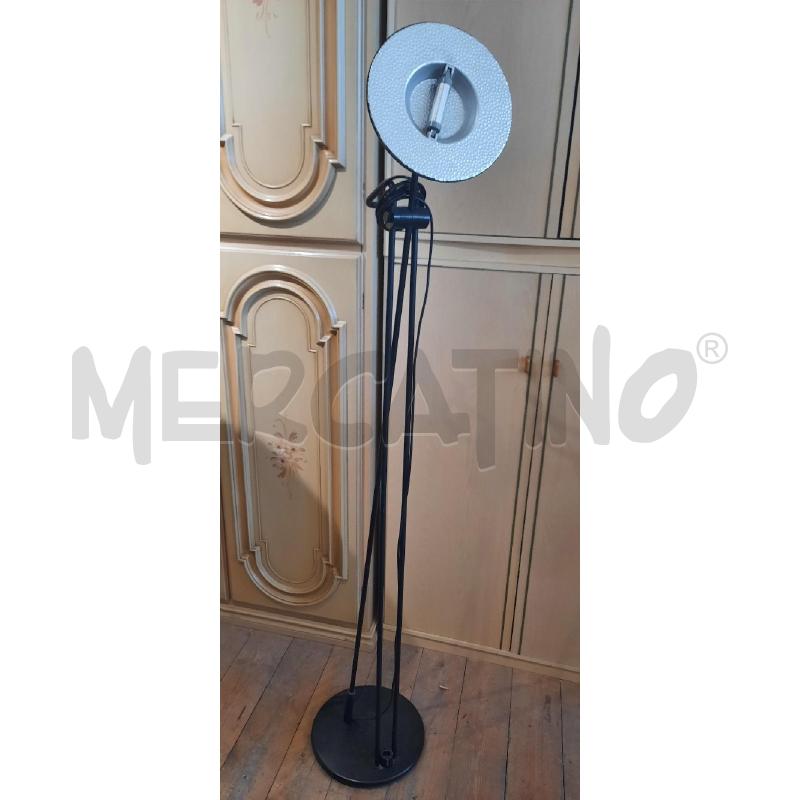 PIANTANA  NERA | Mercatino dell'Usato Catania stazione centrale 1