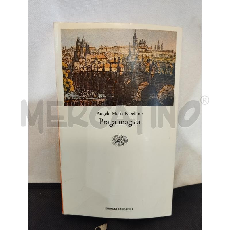 PRAGA MAGICA ANGELA MARIA RIPELLINO | Mercatino dell'Usato Catania stazione centrale 1