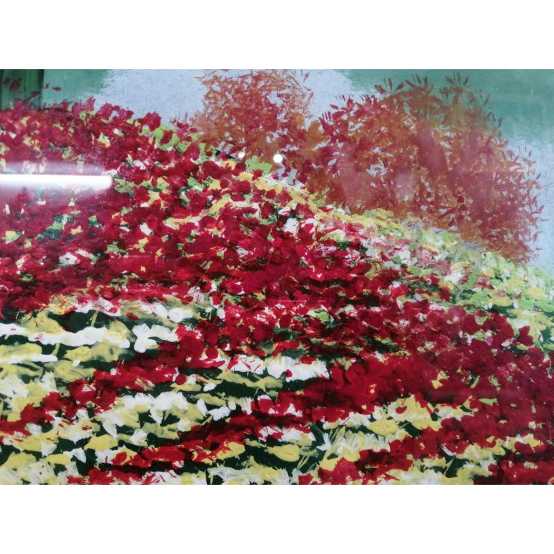 QUADRO  | Mercatino dell'Usato Catania stazione centrale 4