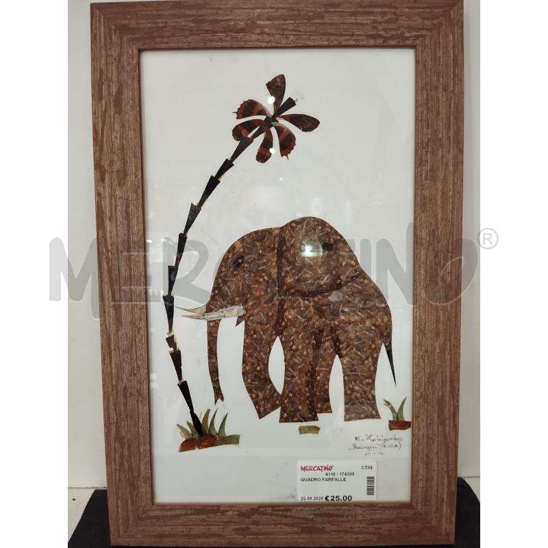 QUADRO FARFALLE | Mercatino dell'Usato Catania stazione centrale 1