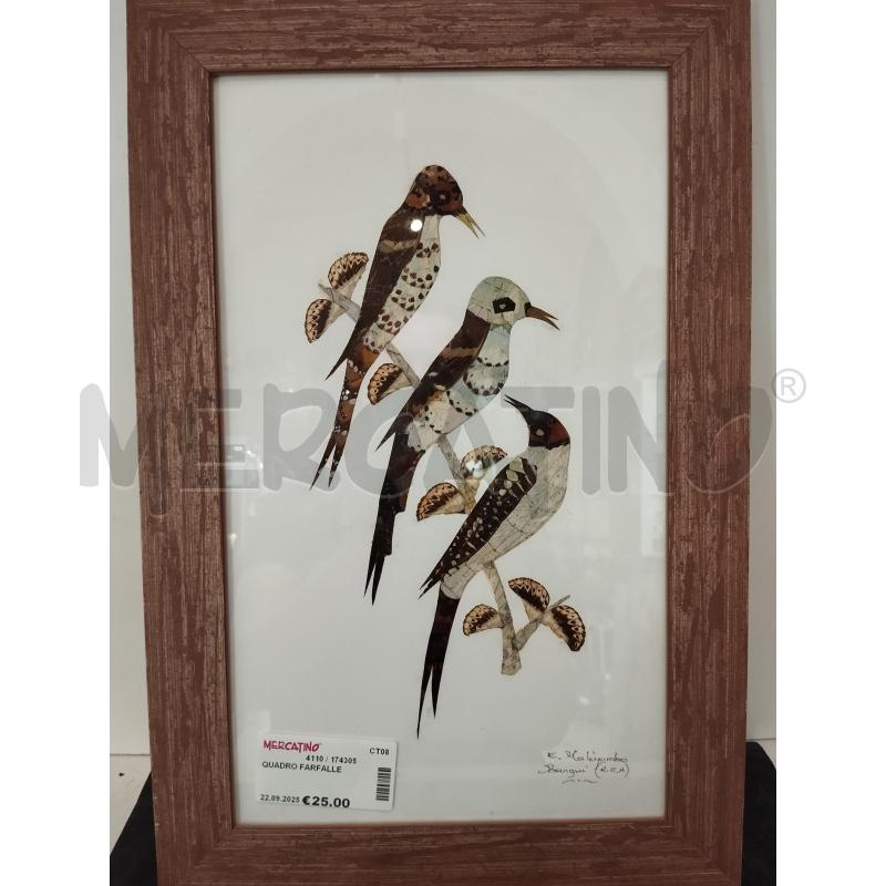 QUADRO FARFALLE | Mercatino dell'Usato Catania stazione centrale 2