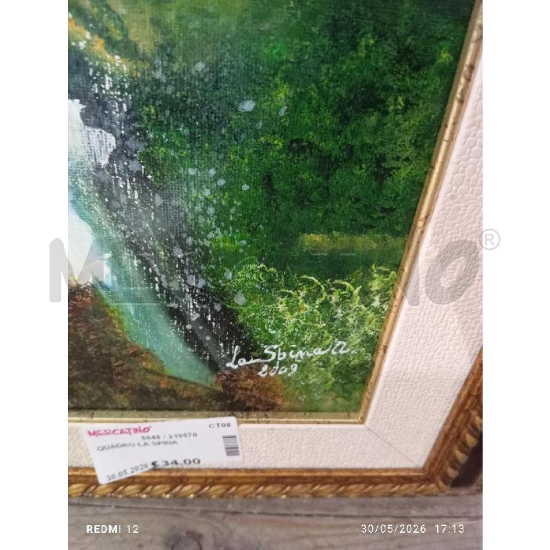 QUADRO LA SPINA | Mercatino dell'Usato Catania stazione centrale 3