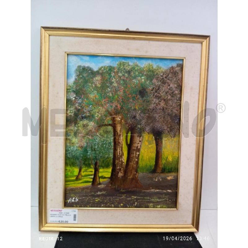 QUADRO OLIO SU TELA ALBERI LA SPINA | Mercatino dell'Usato Catania stazione centrale 1