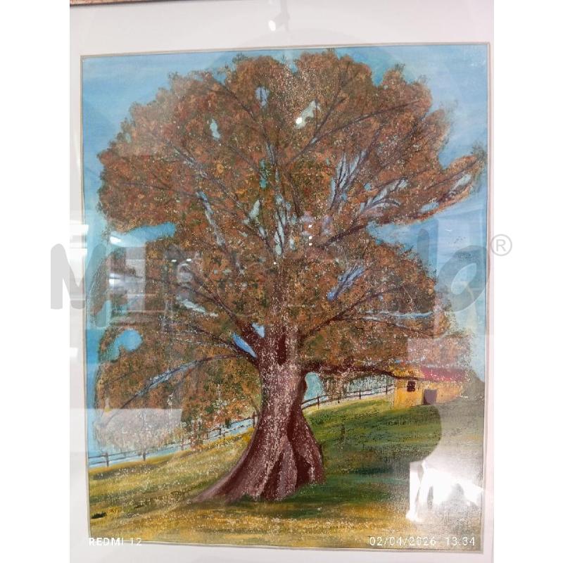 QUADRO OLIO SU TELA ALBERO | Mercatino dell'Usato Catania stazione centrale 3