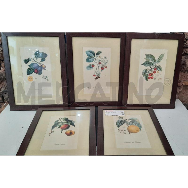QUADRO PZ FRUTTI | Mercatino dell'Usato Catania stazione centrale 1