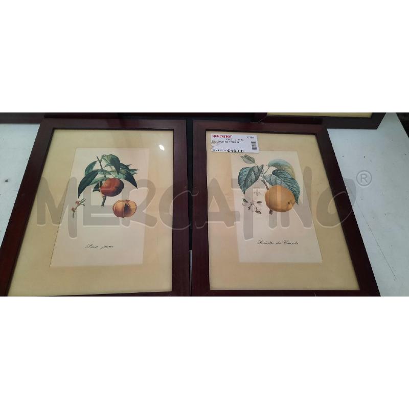 QUADRO PZ FRUTTI | Mercatino dell'Usato Catania stazione centrale 2