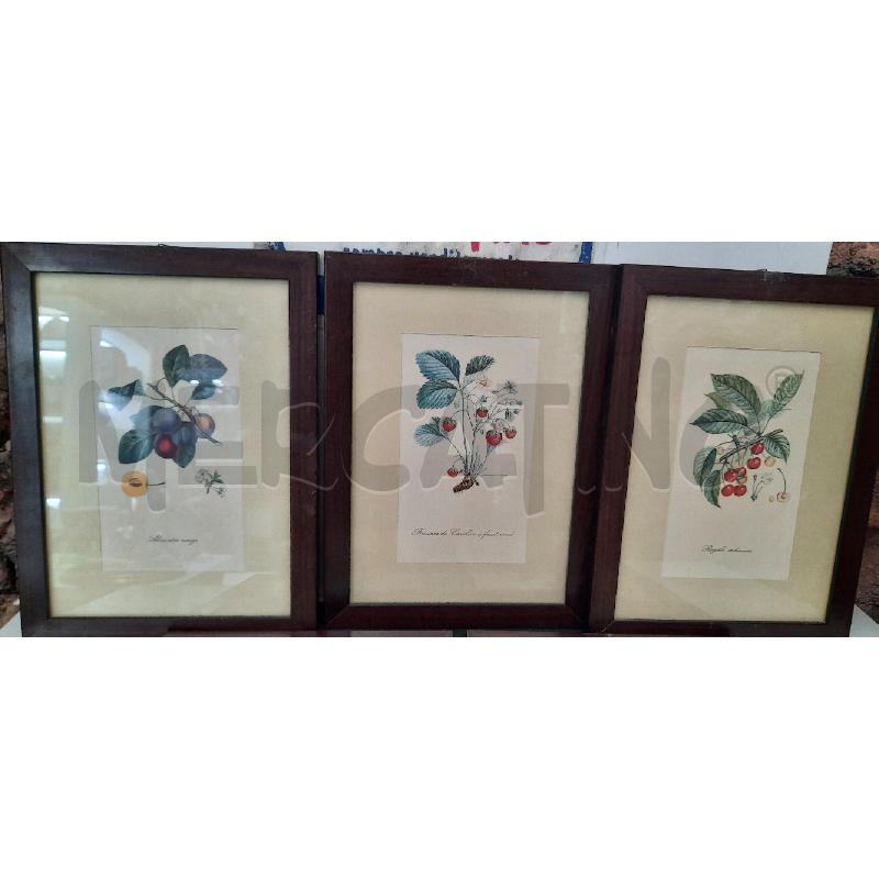QUADRO PZ FRUTTI | Mercatino dell'Usato Catania stazione centrale 3