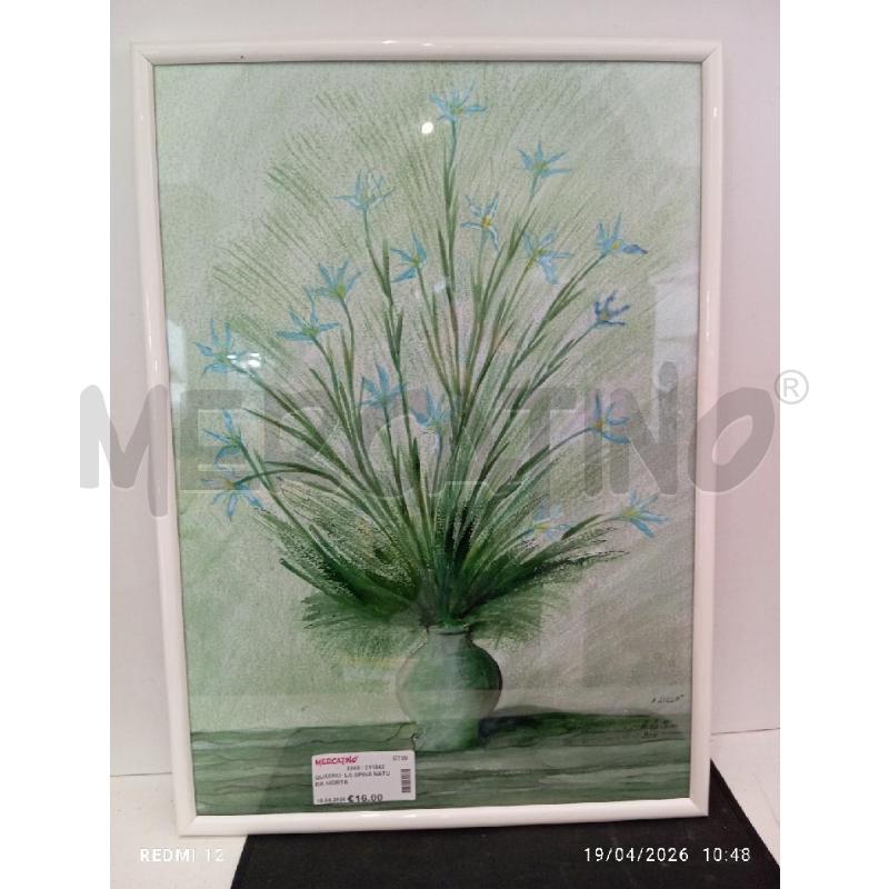 QUADRO  LA SPINA NATURA MORTA | Mercatino dell'Usato Catania stazione centrale 2