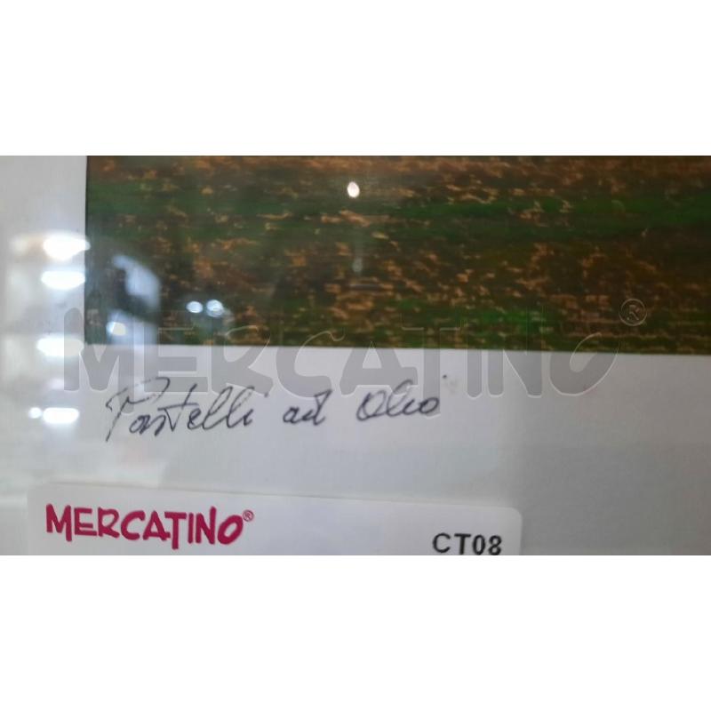 QUADRO  PAESAGGIO PASTELLI AD OLIO LA SPINA | Mercatino dell'Usato Catania stazione centrale 3