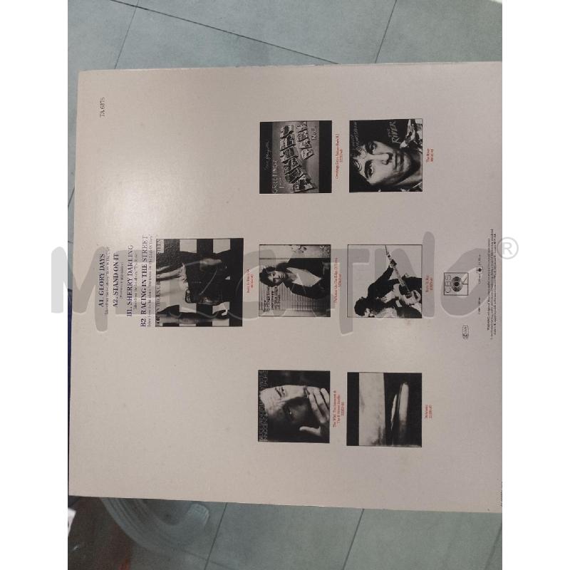 BRUCE SPRINGSTEEN - GLORY DAYS DISCO 33 GIRI  | Mercatino dell'Usato Catanzaro 2